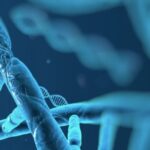 new-genomic-techniques-topic-696×546 (1)