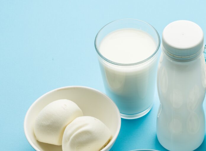 Protein products: cheese, cream, milk, eggs on the blue background. lait et cancer
