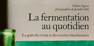 fermentation et cuisine
