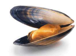 moules cadmium