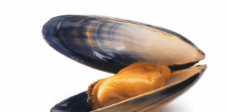 moules cadmium