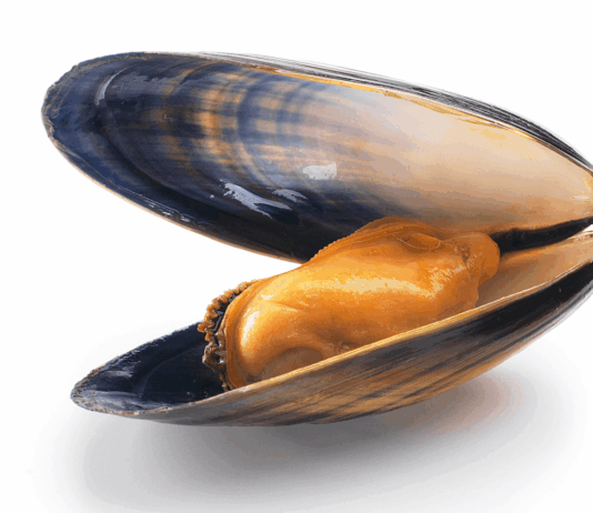 moules cadmium