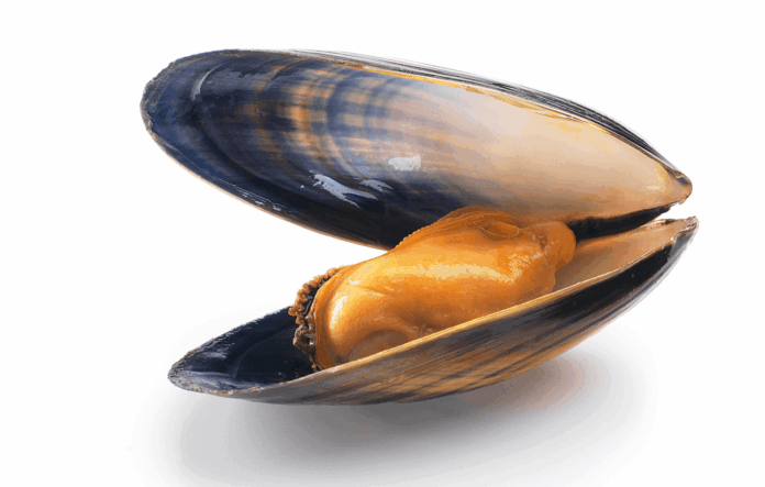 moules cadmium