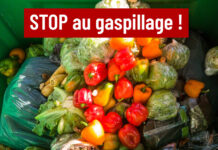 gaspillage alimentaire