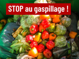gaspillage alimentaire