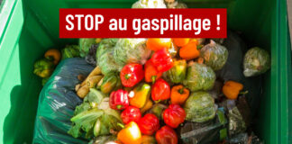 gaspillage alimentaire