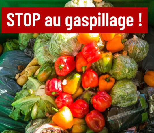 gaspillage alimentaire