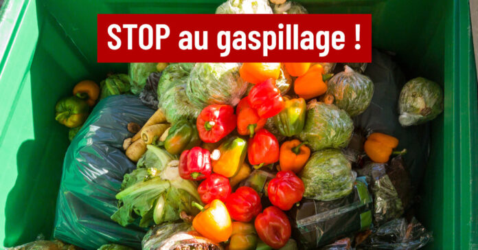 gaspillage alimentaire
