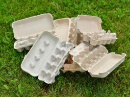 Pourquoi une pénurie d’oeufs oeufs