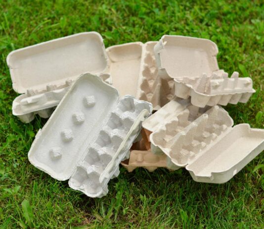 Pourquoi une pénurie d’oeufs oeufs