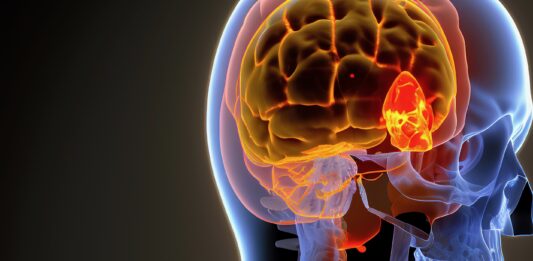 Mieux vivre avec son cortisol cortisol hormone cerveau