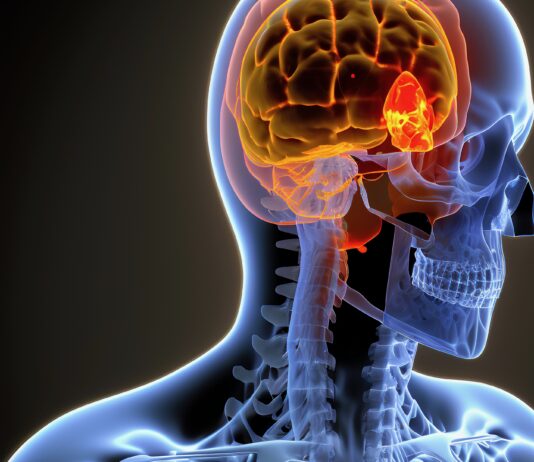 Mieux vivre avec son cortisol cortisol hormone cerveau