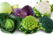 Les clés d’un régime végétarien regime vegetarien