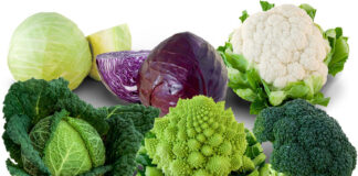 Les clés d’un régime végétarien regime vegetarien