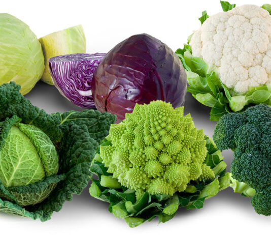 Les clés d’un régime végétarien regime vegetarien