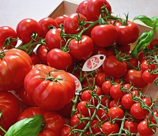 Des tomates Label rouge tomates Label rouge