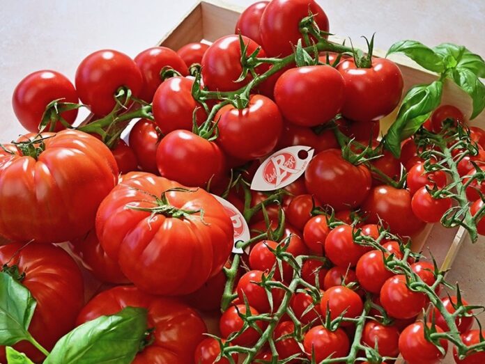 tomates Label rouge