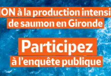 elevage saumon Gironde