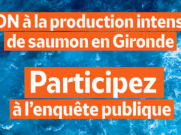 elevage saumon Gironde