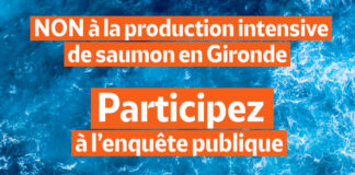 elevage saumon Gironde