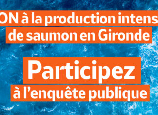 Elevage de saumon en Gironde : la polémique elevage saumon Gironde