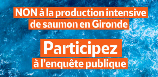 Elevage de saumon en Gironde : la polémique elevage saumon Gironde