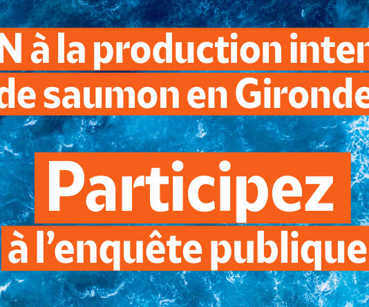 elevage saumon Gironde