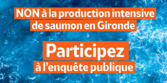 elevage saumon Gironde