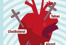 Maladies cardiovasculaires : l’alimentation et l’activité physique maladies cardiovasculaires
