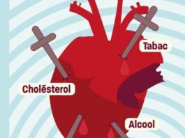 Maladies cardiovasculaires : l’alimentation et l’activité physique maladies cardiovasculaires